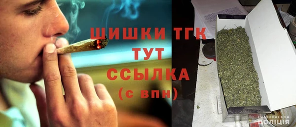 шишки Краснослободск