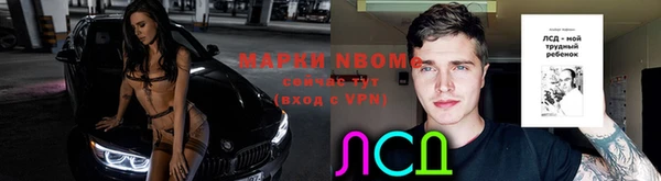 шишки Краснослободск