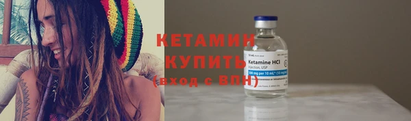 шишки Краснослободск