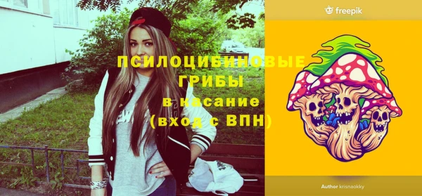 ECSTASY Красноперекопск