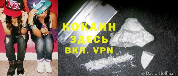 шишки Краснослободск