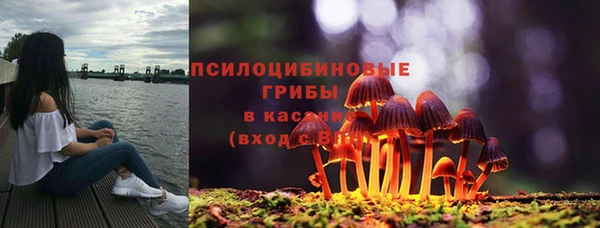 шишки Краснослободск