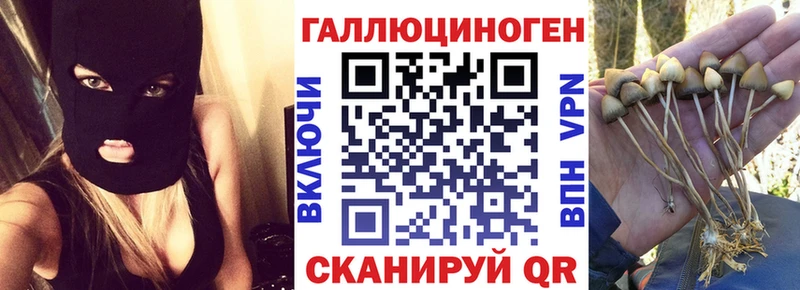 Псилоцибиновые грибы мицелий Десногорск
